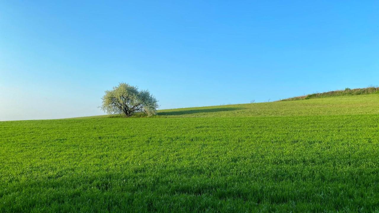 Albana * Castiglione Delle Stiviere