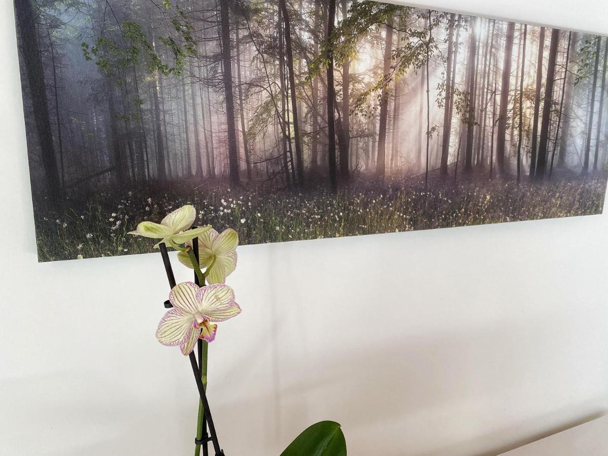 Albana Farm stay Castiglione Delle Stiviere