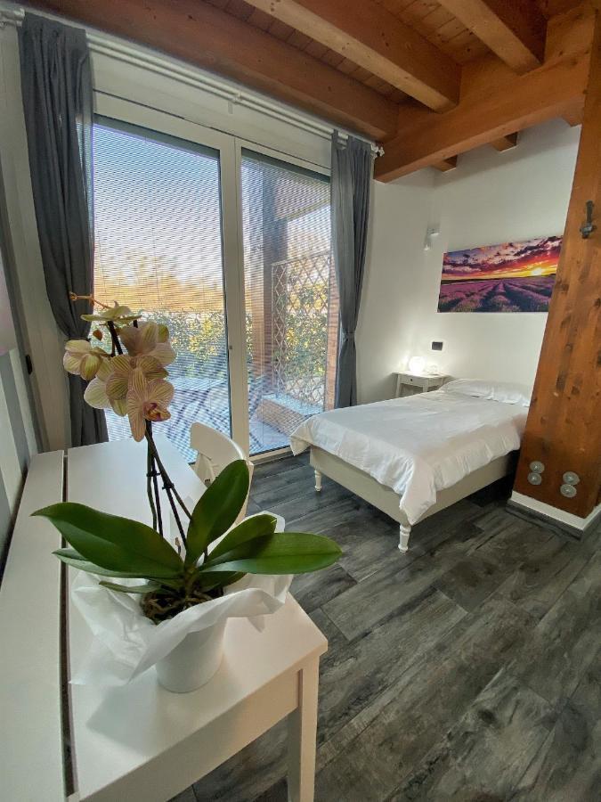 Albana Farm stay
