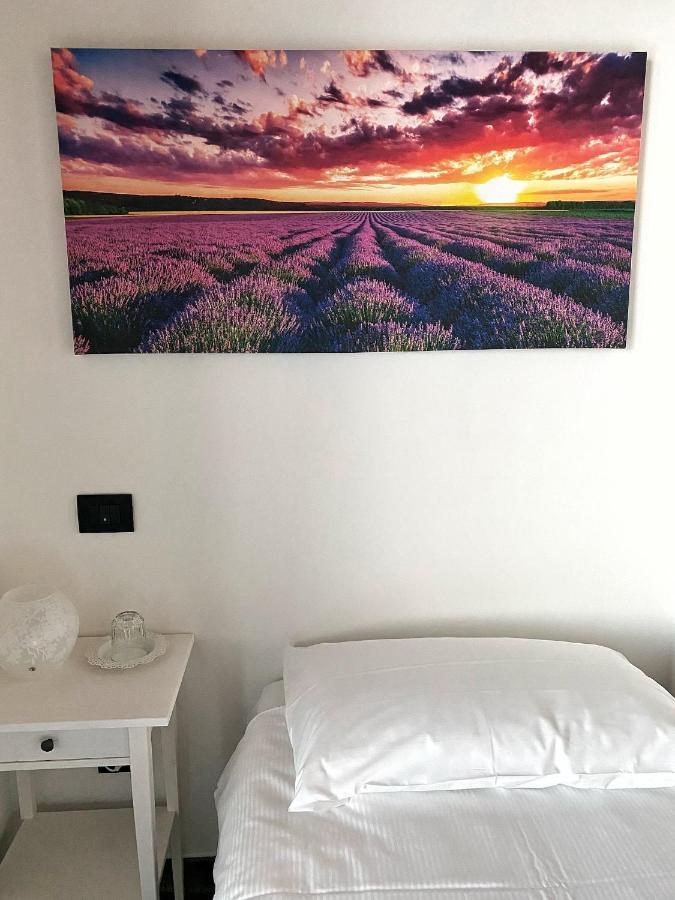 Farm stay Albana *